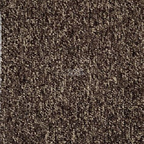 Ковролин AW Loop Loop 2435 фото 1 | FLOORDEALER